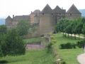IMG 3989