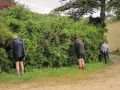 IMG 0029