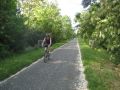 IMG 4502