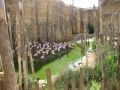 IMG 5782