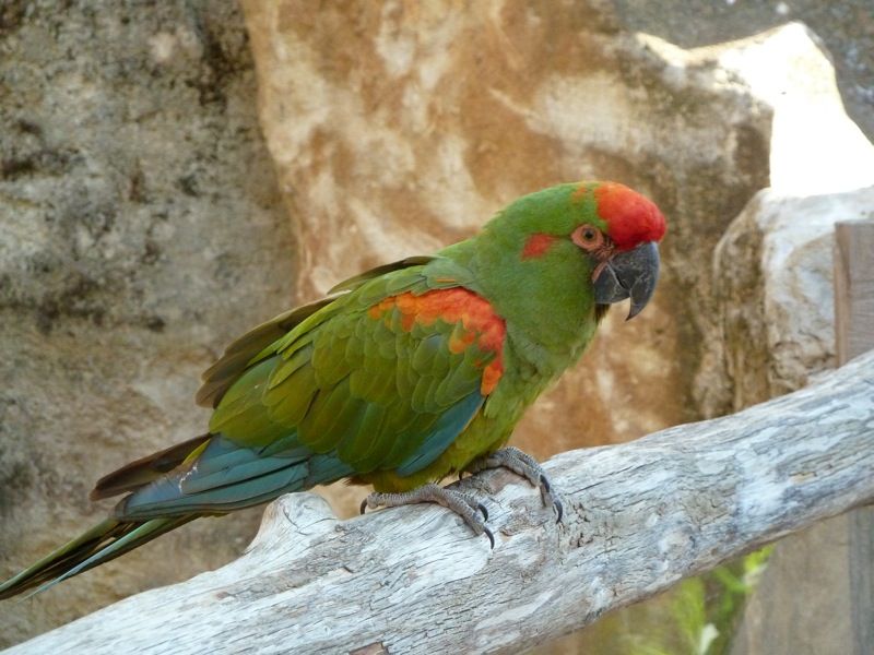 P1000487
