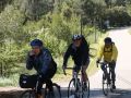 IMG 7381