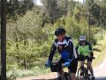 IMG 7382