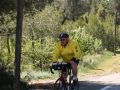 IMG 7384