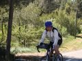 IMG 7387