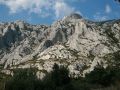 IMG 7037