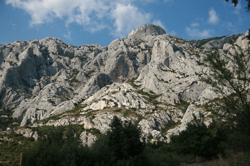 IMG 7037