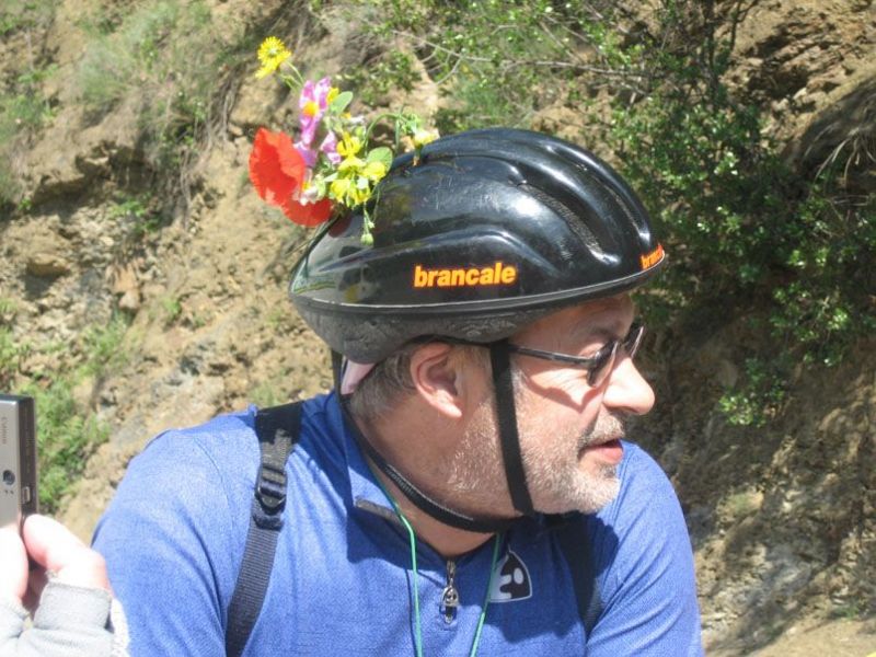 dom82 1841 800 600 80