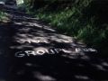 grazur