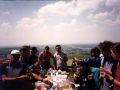 picnic