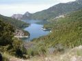 PIC00061