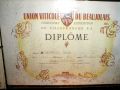 diplomeberrod