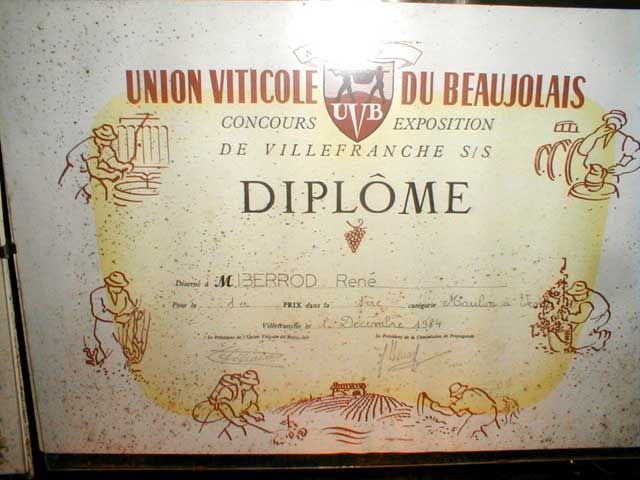 diplomeberrod