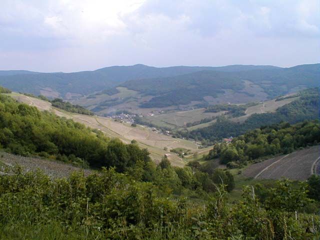 panorama