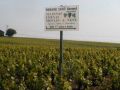 santebernard