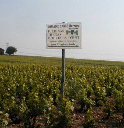 santebernard